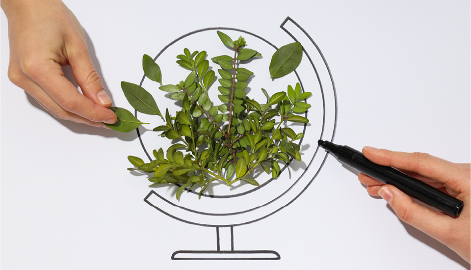 Uma mão desenhando um planeja em um papel, e outra colocando folhas de planta dentro do planeta.
