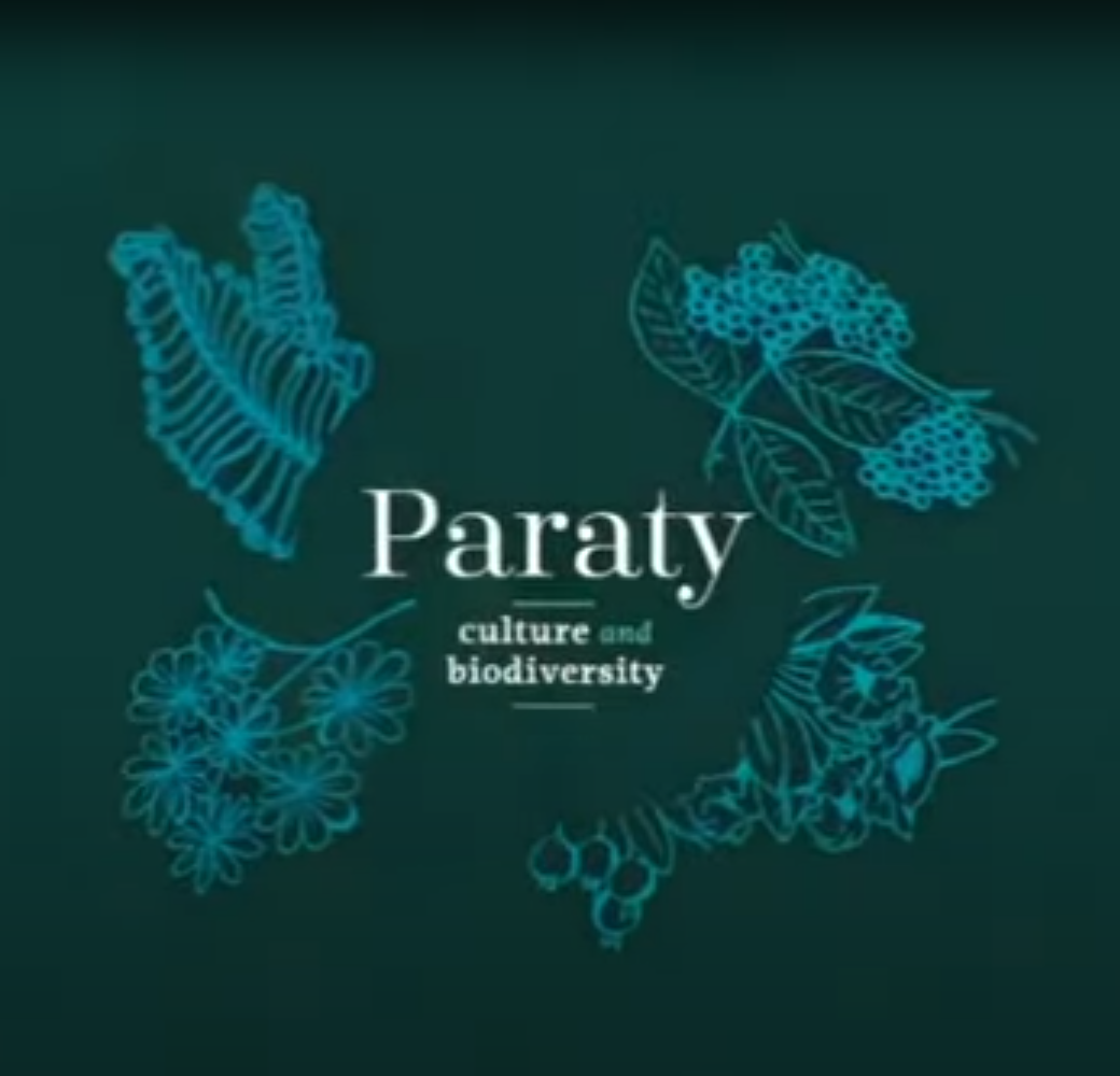 Paraty - Patrimônio Mundial