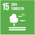 Vida terrestre