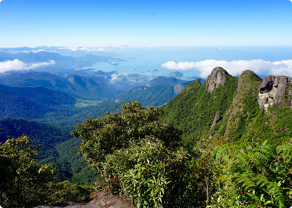 Parque Estadual da Serra do Mar que fica entre Cunha e Paraty (pedra da macela)